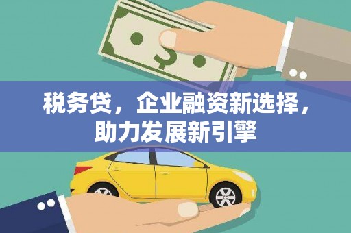 临武税务贷，企业融资新选择，助力发展新引擎