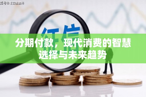 临武分期付款，现代消费的智慧选择与未来趋势