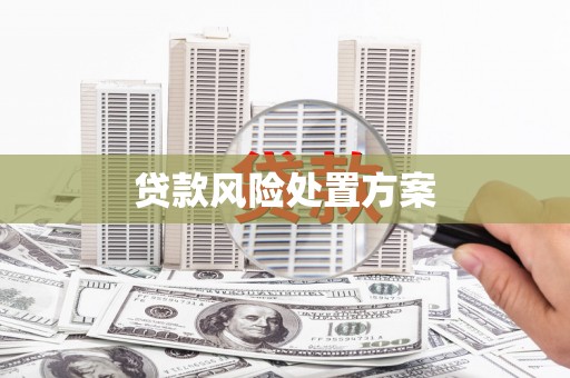 临武贷款风险处置方案