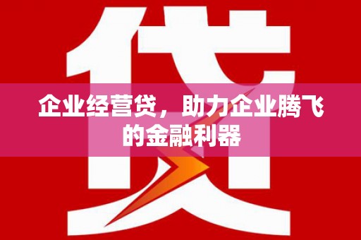 临武企业经营贷，助力企业腾飞的金融利器