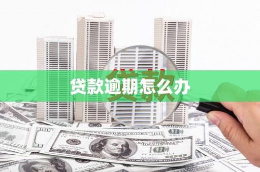 临武贷款逾期怎么办