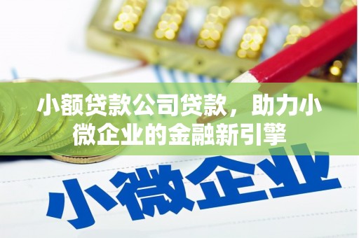 临武小额贷款公司贷款，助力小微企业的金融新引擎