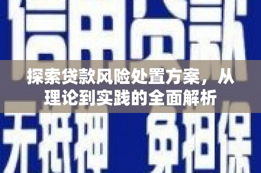 临武探索贷款风险处置方案，从理论到实践的全面解析
