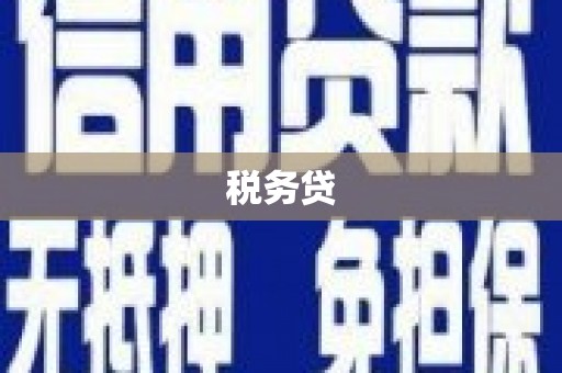 临武税务贷