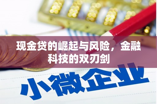 临武现金贷的崛起与风险，金融科技的双刃剑