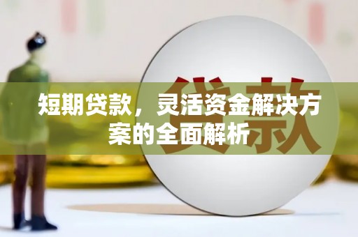 临武短期贷款，灵活资金解决方案的全面解析