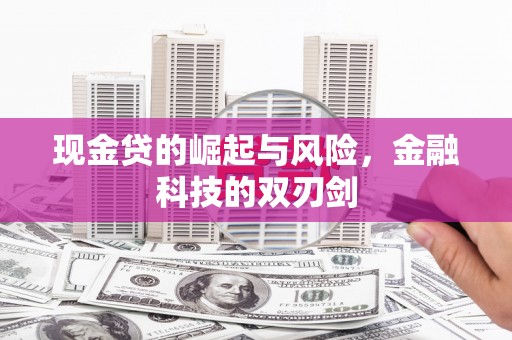 临武现金贷的崛起与风险，金融科技的双刃剑