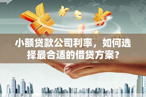 临武小额贷款公司利率，如何选择最合适的借贷方案？