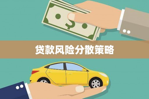 临武贷款风险分散策略