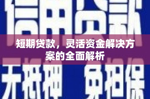 临武短期贷款，灵活资金解决方案的全面解析