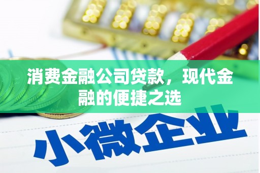 临武消费金融公司贷款，现代金融的便捷之选