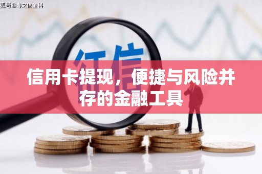 临武信用卡提现，便捷与风险并存的金融工具