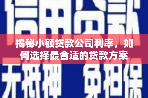 临武揭秘小额贷款公司利率，如何选择最合适的贷款方案