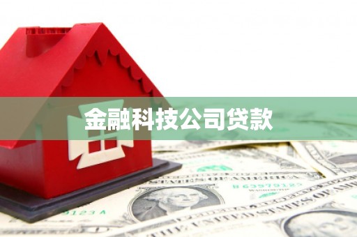临武金融科技公司贷款