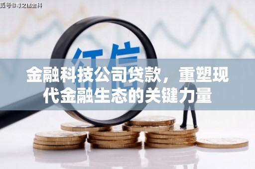 临武金融科技公司贷款，重塑现代金融生态的关键力量