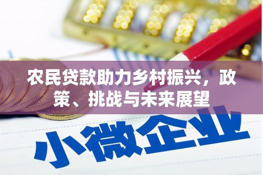 临武农民贷款助力乡村振兴，政策、挑战与未来展望