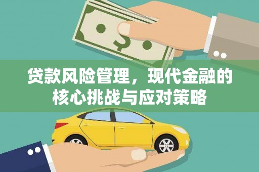 临武贷款风险管理，现代金融的核心挑战与应对策略