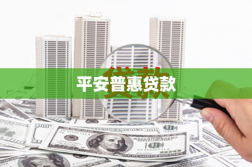 临武平安普惠贷款