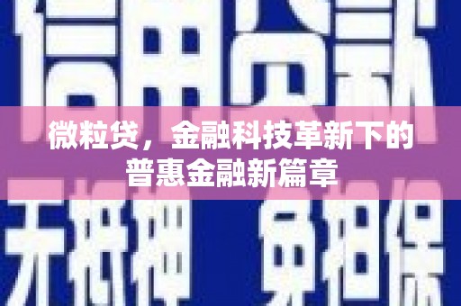 临武微粒贷，金融科技革新下的普惠金融新篇章
