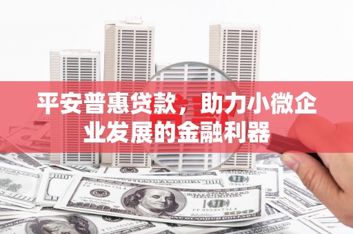 临武平安普惠贷款，助力小微企业发展的金融利器