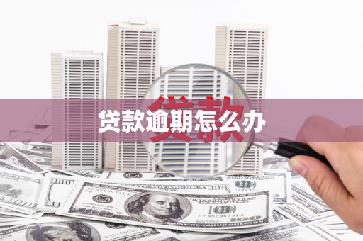 临武贷款逾期怎么办