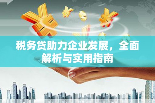临武税务贷助力企业发展，全面解析与实用指南