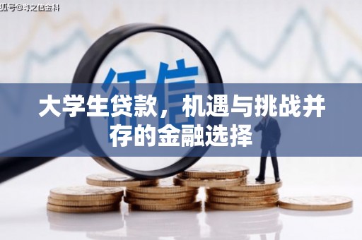 临武大学生贷款，机遇与挑战并存的金融选择