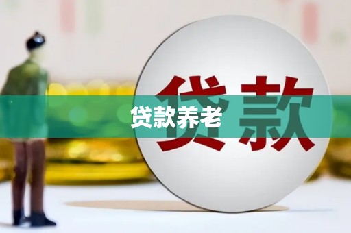 临武贷款养老