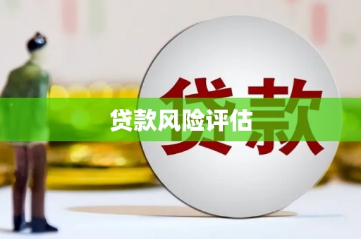 临武贷款风险评估