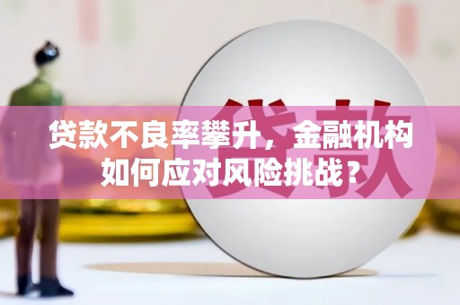 临武贷款不良率攀升，金融机构如何应对风险挑战？