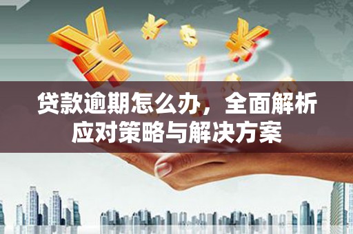临武贷款逾期怎么办，全面解析应对策略与解决方案