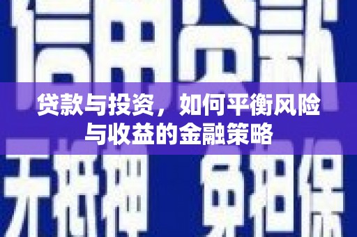 临武贷款与投资，如何平衡风险与收益的金融策略